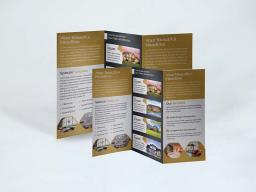 بروشور 3 لت تحریر 80 گرم 